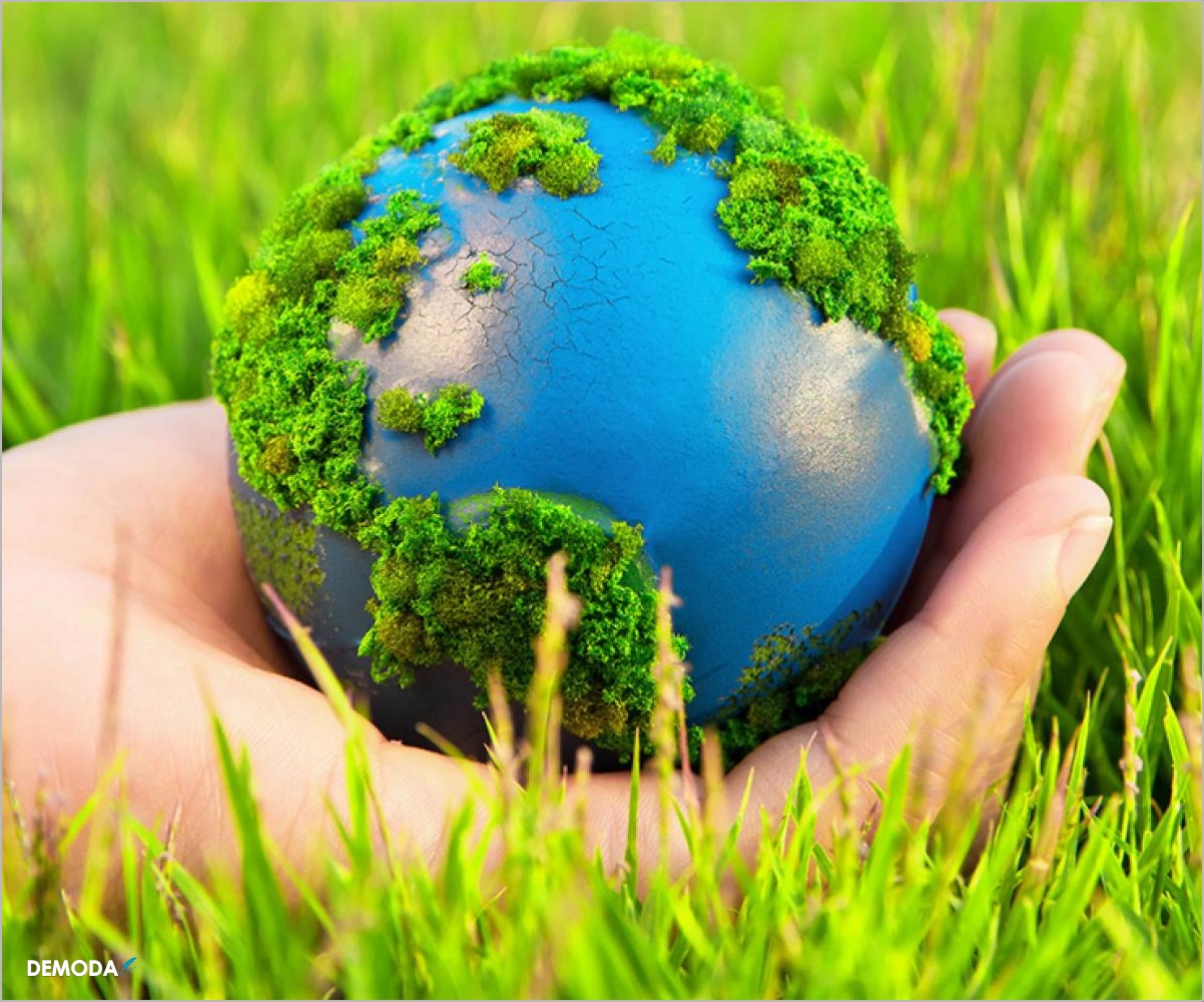 anh bao ve moi truong